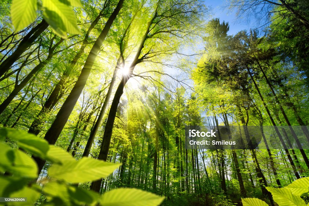 istockphoto-1224620404-1024x1024